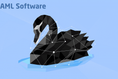 AML Software Development and Maintenance